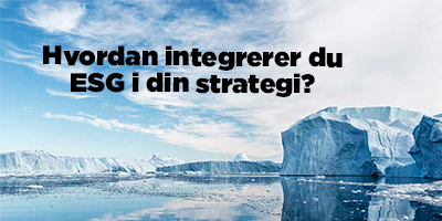 ESG-artikel: Hvordan integrerer du ESG i din strategi?