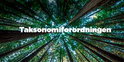 Artikel om taksonomiforordningen