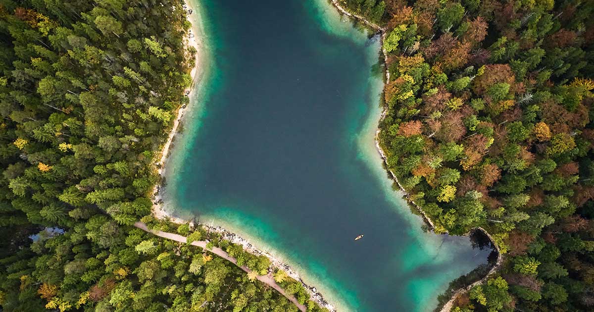 Landskab fugleperspektiv skov sø